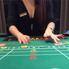 bingo 4d App 